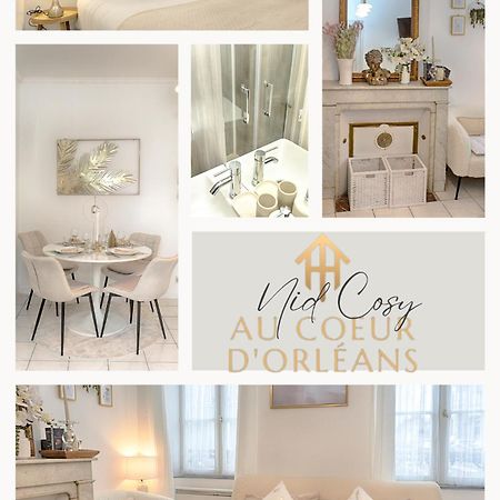 Le Nid Cosy -Au Coeur D'Orleans Apartman Kültér fotó